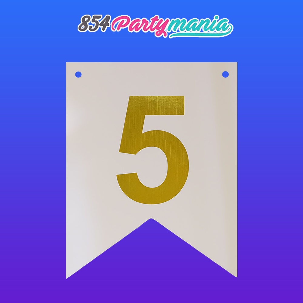 Letter and Number DIY Banner White