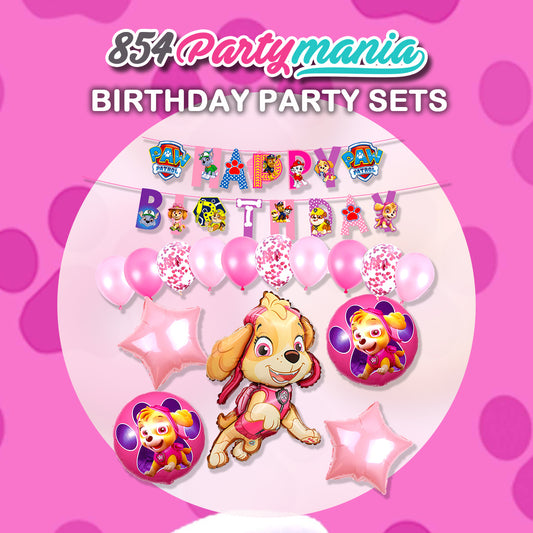 PAW PATROL SKYE COMPLETE BIRTHDAY SET