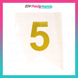 Letter and Number DIY Banner White