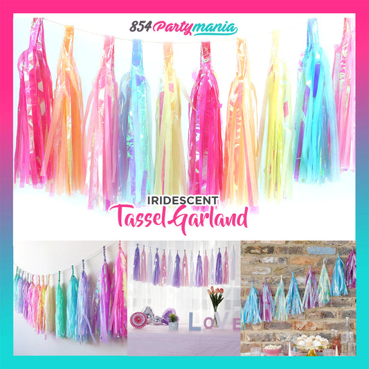 Iridescent Tassel Garland (20pck min)