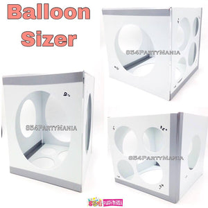 Balloon Sizer